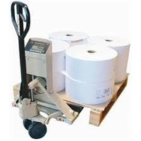  Pallet Weigher 