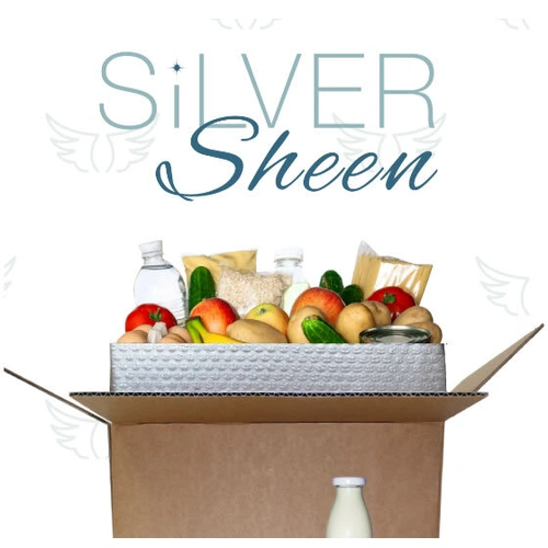 Thermal Carton Liners | Recyclable Insulated Bags | Cold Chain Foil Bags - Silver Sheen Air | PHOENIX
